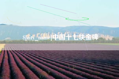 威海中国十七块金牌