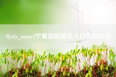 威海宁夏消防报名入口官网公告