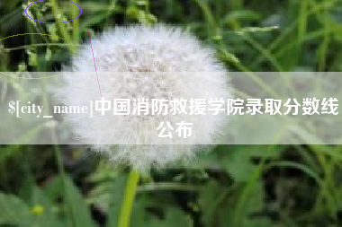 威海中国消防救援学院录取分数线公布