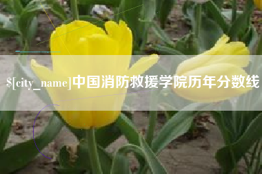 威海中国消防救援学院历年分数线