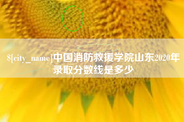 威海中国消防救援学院山东2020年录取分数线是多少