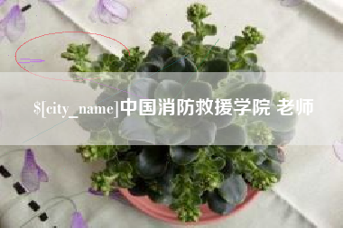 威海中国消防救援学院 老师