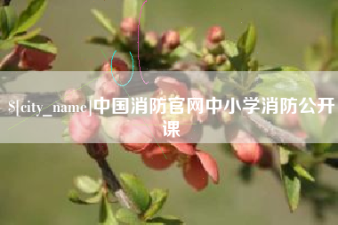 威海中国消防官网中小学消防公开课
