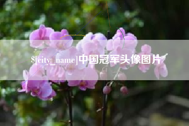 威海中国冠军头像图片