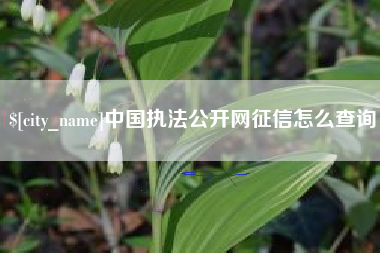 威海中国执法公开网征信怎么查询