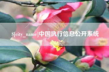 威海中国执行信息公开系统
