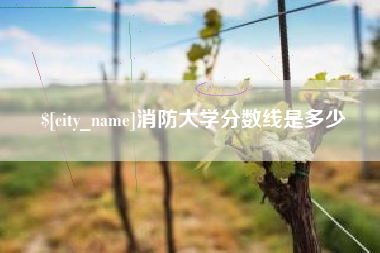 威海消防大学分数线是多少