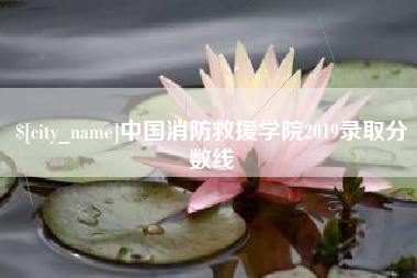 威海中国消防救援学院2019录取分数线