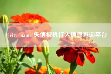 威海失信被执行人信息查询平台