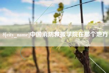 威海中国消防救援学院在那个地方