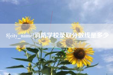 威海消防学校录取分数线是多少