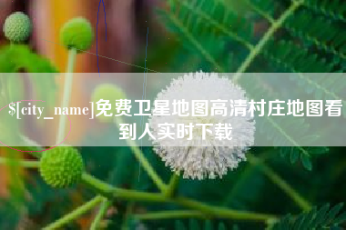 威海免费卫星地图高清村庄地图看到人实时下载