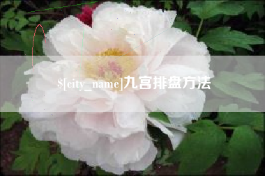 威海九宫排盘方法