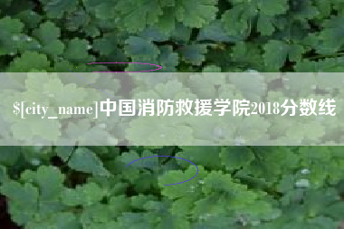 威海中国消防救援学院2018分数线