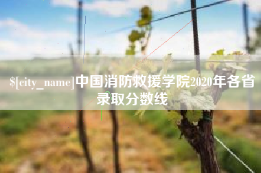 威海中国消防救援学院2020年各省录取分数线