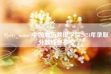 威海中国消防救援学院2024年录取分数线是多少