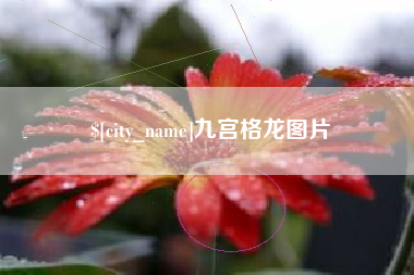 威海九宫格龙图片