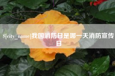 威海我国消防日是哪一天消防宣传日