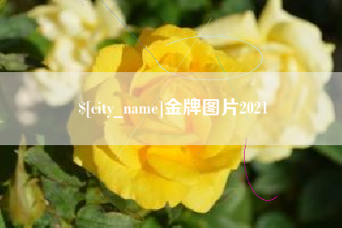 威海金牌图片2021