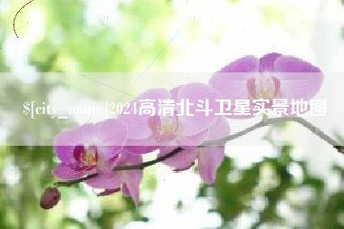 威海2024高清北斗卫星实景地图