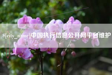 威海中国执行信息公开网平台维护