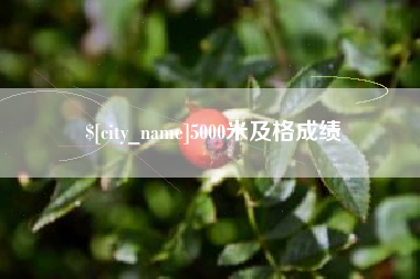 威海5000米及格成绩