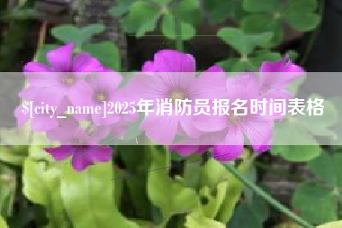 威海2025年消防员报名时间表格