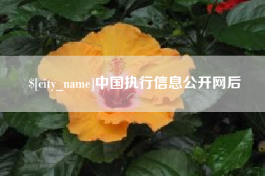 威海中国执行信息公开网后