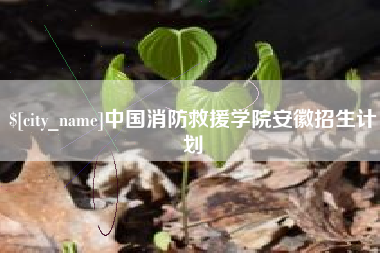 威海中国消防救援学院安徽招生计划
