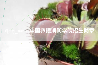 威海中国救援消防学院招生简章