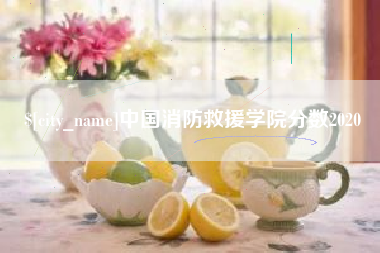 威海中国消防救援学院分数2020