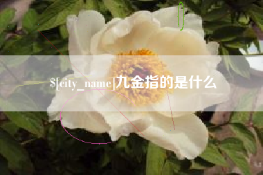 威海九金指的是什么