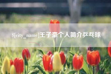 威海王子豪个人简介乒乓球