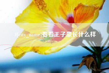 威海看看王子豪长什么样