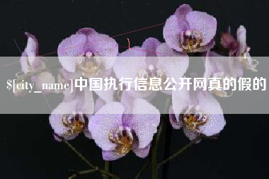 威海中国执行信息公开网真的假的
