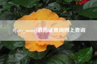威海消防证查询网上查询
