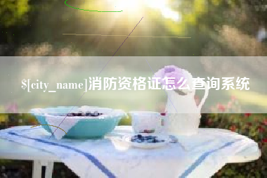 威海消防资格证怎么查询系统