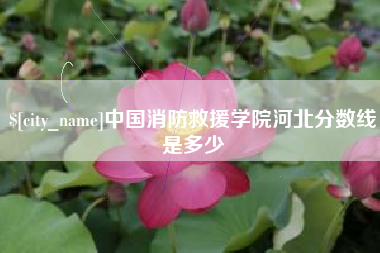 威海中国消防救援学院河北分数线是多少