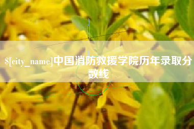 威海中国消防救援学院历年录取分数线