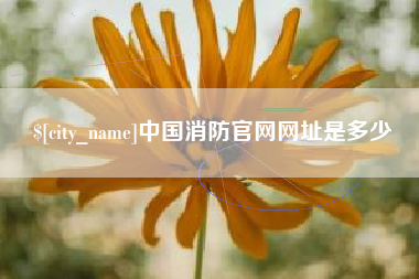 威海中国消防官网网址是多少