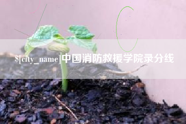 威海中国消防救援学院录分线