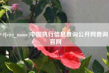 威海中国执行信息查询公开网查询官网