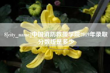 威海中国消防救援学院2019年录取分数线是多少