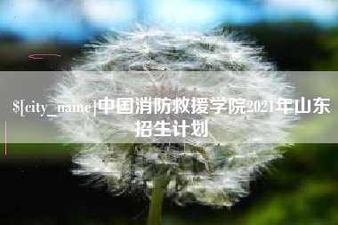 威海中国消防救援学院2021年山东招生计划