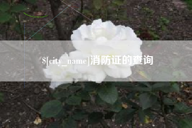 威海消防证的查询