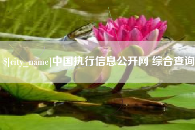 威海中国执行信息公开网 综合查询