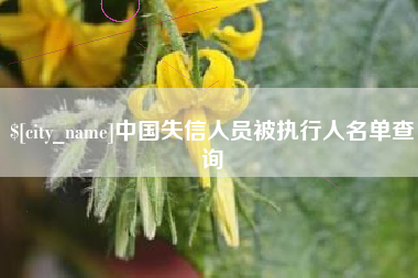 威海中国失信人员被执行人名单查询