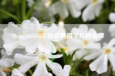 威海中国金牌得了几枚金牌