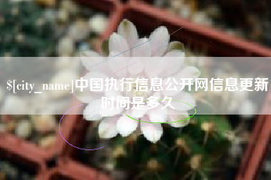 威海中国执行信息公开网信息更新时间是多久