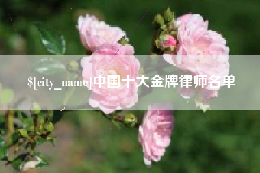 威海中国十大金牌律师名单